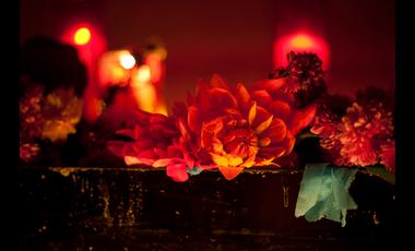 _AllSouls_tmatheson.36